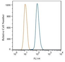 TLR7 Antibody (4G6) - Azide and BSA Free, Novus Biologicals:Antibodies:Primary